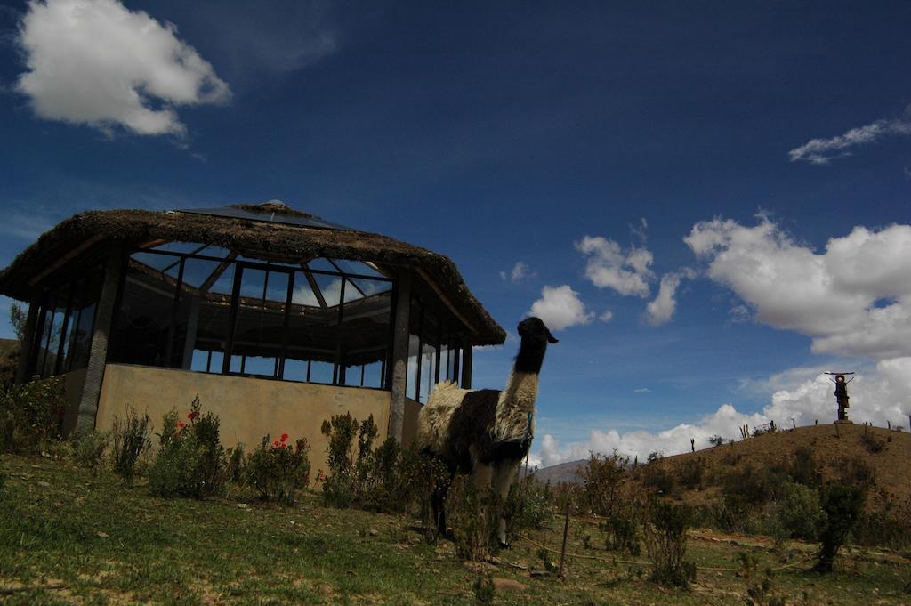 Eco Lodge Allkamari & Centro De Eventos 라파스 외부 사진